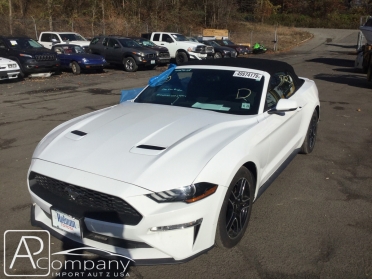 Ford Mustang Cabrio