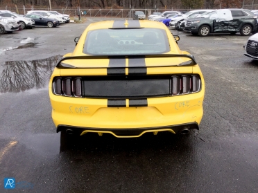 Ford Mustang GT 50th Anniversary